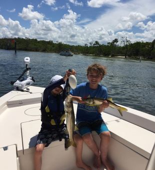 Snook from the Gulf of Mexico